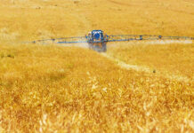 Poleasingowe maszyny dla rolnictwa – szansa na taki zakup działającego sprzętu Poleasingowe maszyny dla rolnictwa