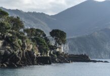 Ile kosztuje łuk dla początkujących?