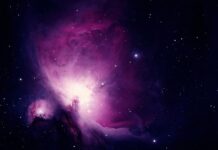 Ile średnio trwa nauka korzystania z nocnika? Ile średnio trwa nauka korzystania z nocnika?