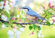 Jak urządzić mały pokój dla rodzeństwa?