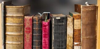 Kim można być po historii? Kim można być po historii?