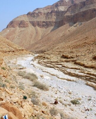 Dawid kontra gigant Goliat