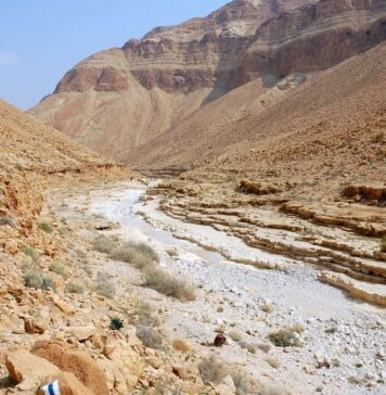 Dawid kontra gigant Goliat